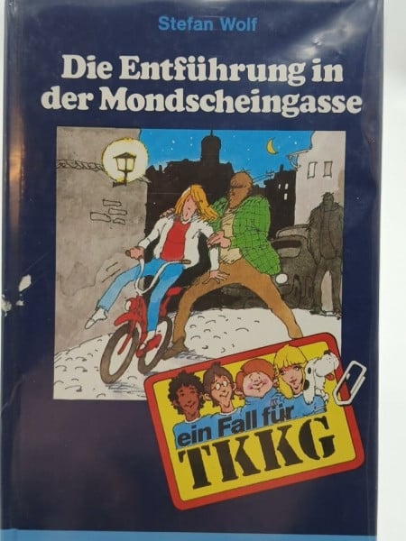 Fein, Egon Ein Fall für TKKG, Bd.31, Die Entführung in der Mondscheingasse