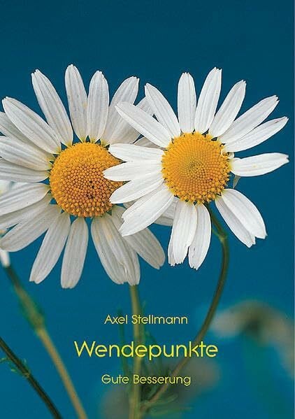 Stellmann, Axel Wendepunkte: Gute Besserung
