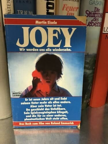 Eisele, Martin Joey - Der Junge, der mit den Geistern sprach: Das Buch zum Film (Allgemeine Reihe. Bastei Lübbe Taschenbücher)