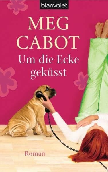 Brandl, Andrea Um die Ecke geküsst (Traummänner und andere Katastrophen, Band 1)