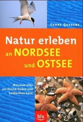 Natur erleben an Nord- und Ostsee: Was man alles am Strand finden und beobachten kann