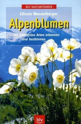 Wendelberger, Elfrune Alpenblumen: Die häufigsten Arten erkennen und bestimmen