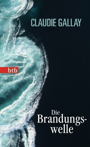 Steinitz, Claudia Die Brandungswelle: Roman - Geschenkausgabe (Das Besondere Taschenbuch, Band 2)