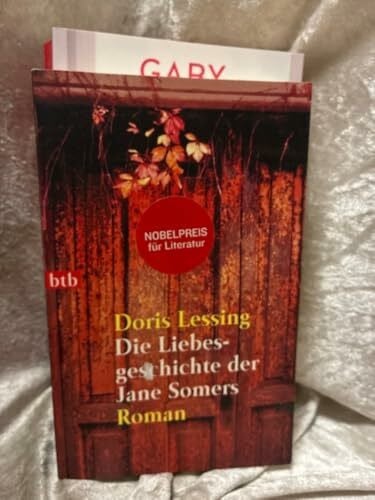 Schönberger, Barbara Die Liebesgeschichte der Jane Somers: Roman