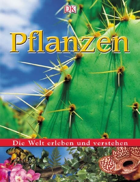 Pflanzen
