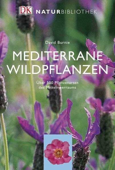 Burnie, David Mediterrane Wildpflanzen: Über 500 Pflanzenarten des Mittelmeerraums