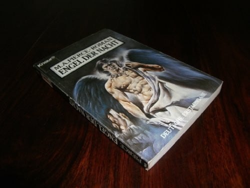 Boer, Klaus Engel der Nacht: Fantasy-Roman (Knaur Taschenbücher. Romane, Erzählungen)