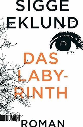 Hoyer, Nina Das Labyrinth: Roman (Taschenbücher)