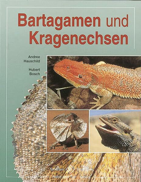 Hauschild, Andree Bartagamen und Kragenechsen: Die Gattungen Pogona & Chlamydosaurus (Terrarien-Bibliothek)