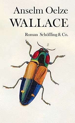Anselm Oelze Wallace: Roman