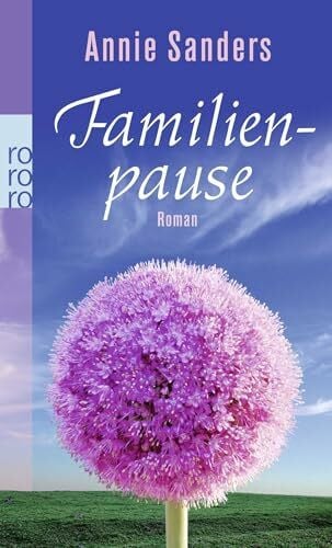Hein, Ines Familienpause: Roman. Deutsche Erstausgabe