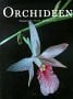 Starosta, Paul Orchideen