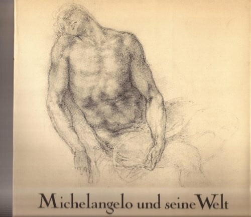 Hans Hildenbrand Michelangelo und seine Welt