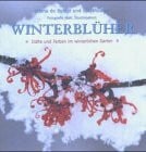 Bie Wouters Winterblüher: Düfte und Farben im winterlichen Garten