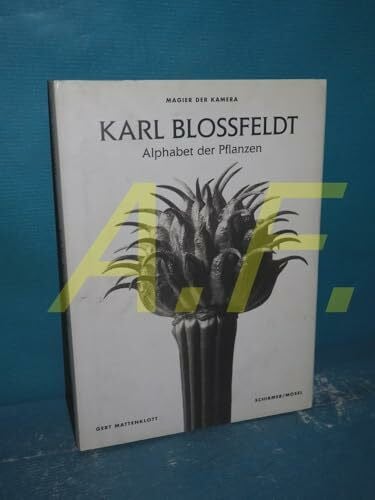 Blossfeldt. Pflanzen (German ed)