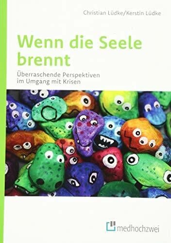Liane Metzler Wenn die Seele brennt. Überraschende Perspektiven im Umgang mit Krisen