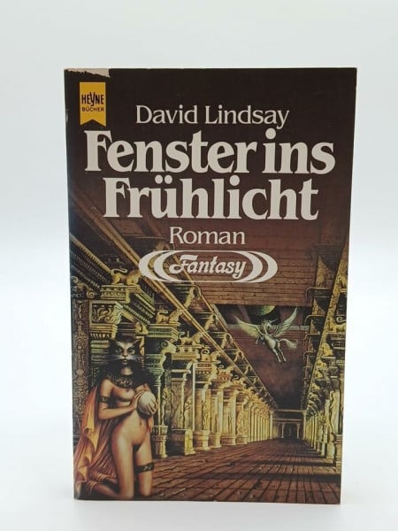 Lindsay, David Fenster ins Frühlicht. Fantasy Roman.