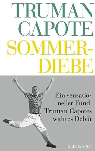 Heidi Zerning Sommerdiebe: Roman. Deutsche Erstausgabe