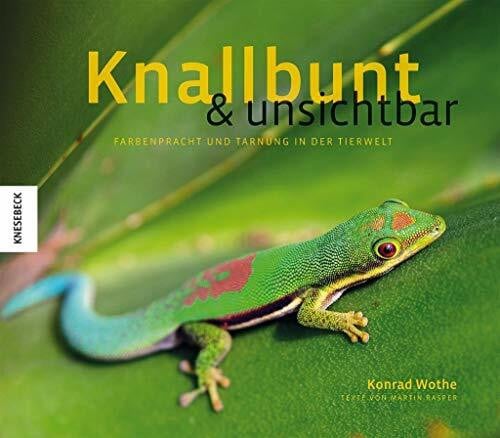 Rasper, Martin Knallbunt und unsichtbar: Farbenpracht und Tarnung in der Tierwelt