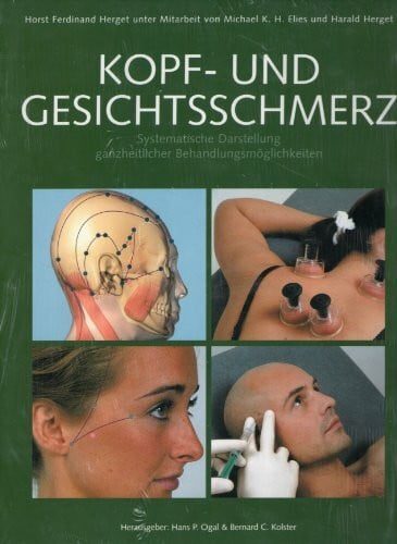 Harald Herget Kopf- und Geschichtsschmerz