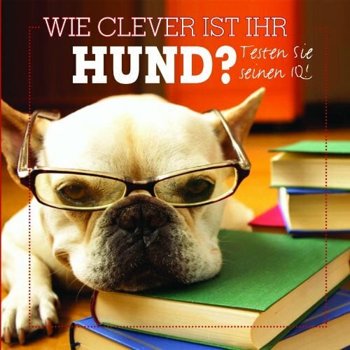 Parragon Wie clever ist Ihr Hund