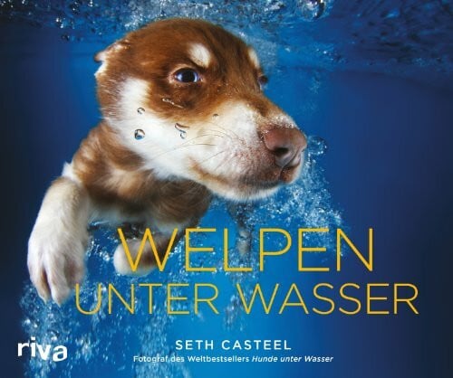 Casteel, Seth Welpen unter Wasser