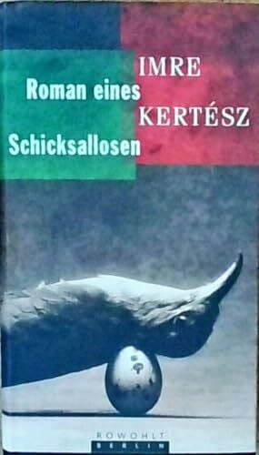 Christina Viragh Roman eines Schicksallosen