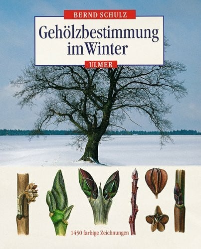 Schulz, Bernd Gehölzbestimmung im Winter