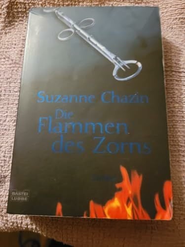 Merz, Axel Die Flammen des Zorns (Allgemeine Reihe. Bastei Lübbe Taschenbücher)