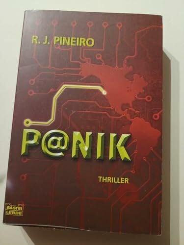 Karin Meddekis P@nik (Allgemeine Reihe. Bastei Lübbe Taschenbücher)