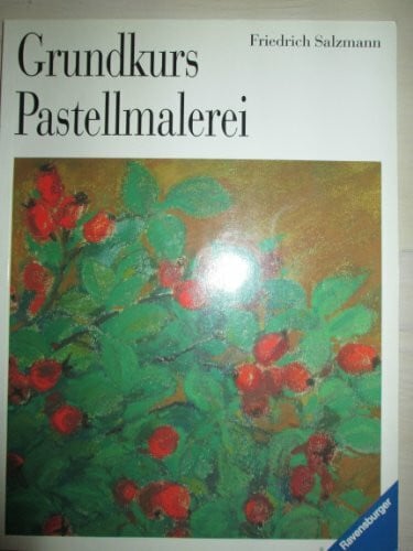 Salzmann, Friedrich Grundkurs Pastellmalerei. Bibliothek des Freizeitmalers