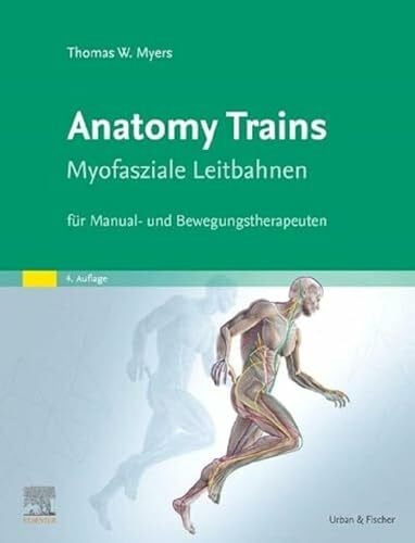 Schulz, Anne Anatomy Trains: Myofasziale Leitbahnen für Manual- und Bewegungstherapeuten