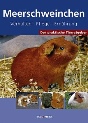Meerschweinchen: Verhalten, Pflege, Ernährung