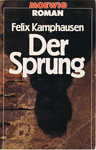 Felix Kamphausen Der Sprung. Roman.