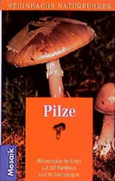 Pilze (Steinbachs Naturführer)
