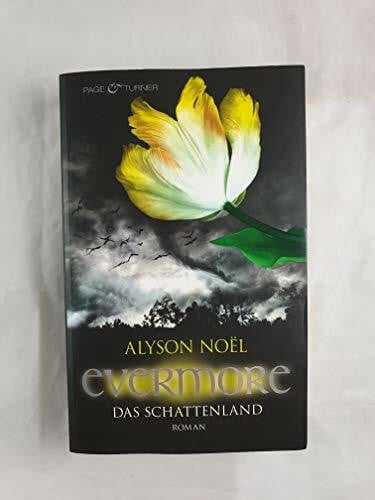 Bezzenberger, Marie-Luise Evermore 3 - Das Schattenland: Roman