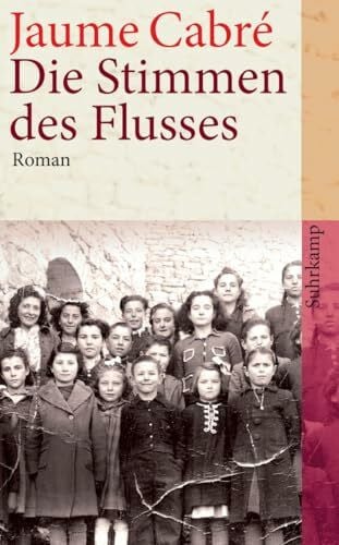 Brandt, Kirsten Die Stimmen des Flusses