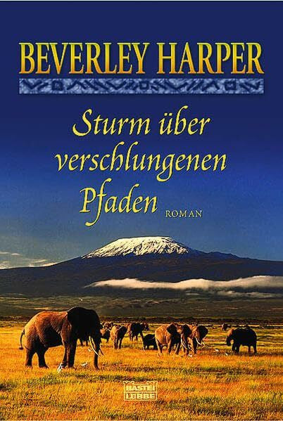 Ritterbach, Barbara Sturm über verschlungenen Pfaden: Roman: Roman. Deutsche Erstausgabe (Allgemeine Reihe. Bastei Lübbe Taschenbücher)