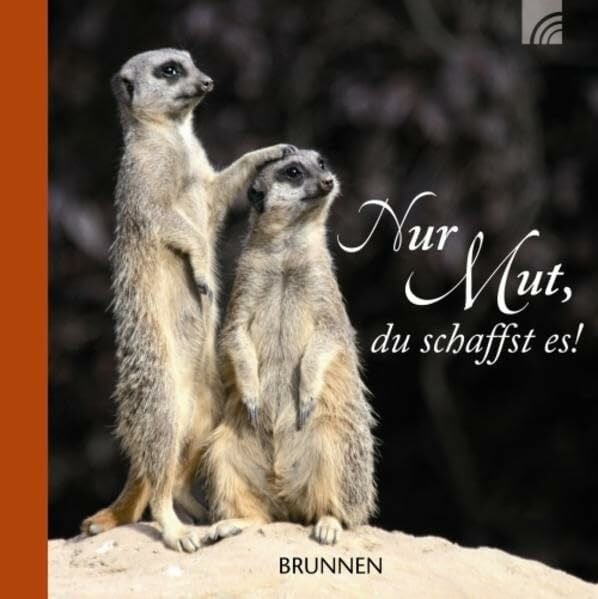 Fröse-Schreer, Irmtraut Nur Mut, du schaffst es!