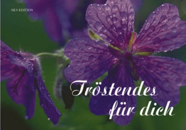 Leonhardt, Roland Tröstendes für dich (Licht und Freude)