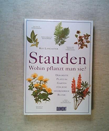 Lancaster, Roy Stauden - Wohin pflanzt man sie?: Der beste Platz im Garten für jede mehrjährige Blume