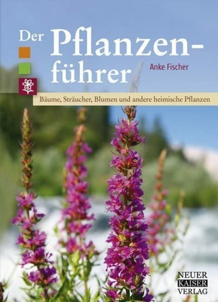 Fischer, Anke Der Pflanzenführer: Bäume, Sträucher, Blumen und andere heimische Pflanzen