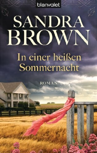 Geng, Claudia In einer heißen Sommernacht: Roman