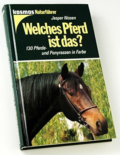 Jasper Nissen Welches Pferd ist das?