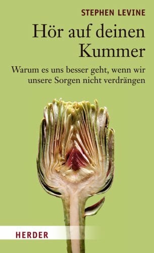 Schleipen, Andrea Hör auf deinen Kummer: Warum es uns besser geht, wenn wir unsere Sorgen nicht verdrängen