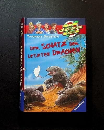 Birck, Jan Der Schatz der letzten Drachen (Die Knickerbocker-Bande, Band 51)