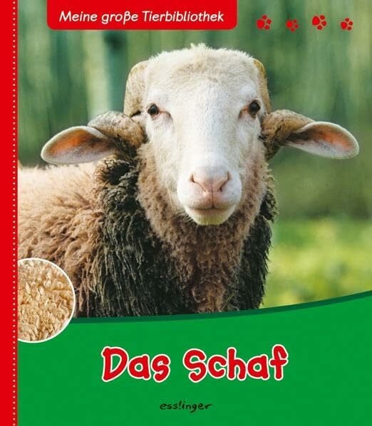 Dubois, Émelie Meine große Tierbibliothek: Das Schaf