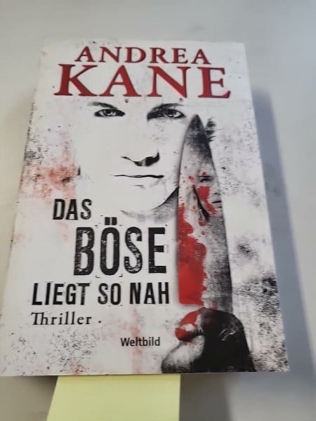 Andrea Kane Das Böse liegt so nah - Thriller