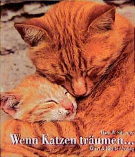 Silvester, Hans W Wenn Katzen träumen...