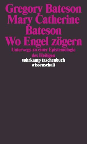 Möhring, Hans-Ulrich Wo Engel zögern: Unterwegs zu einer Epistemologie des Heiligen (suhrkamp taschenbuch wissenschaft)